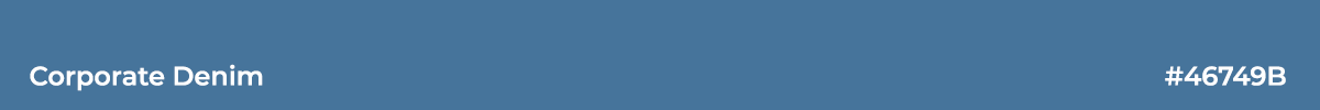 corporate denim color