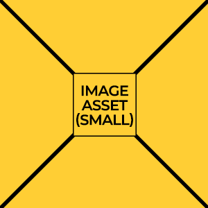 image_asset-small-300x300