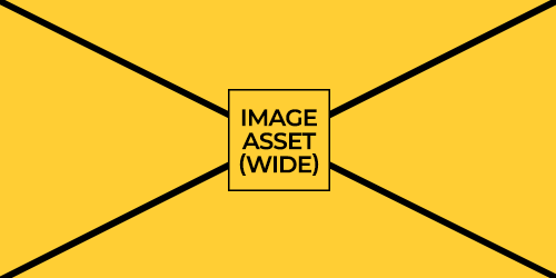 image_asset-wide-500x250